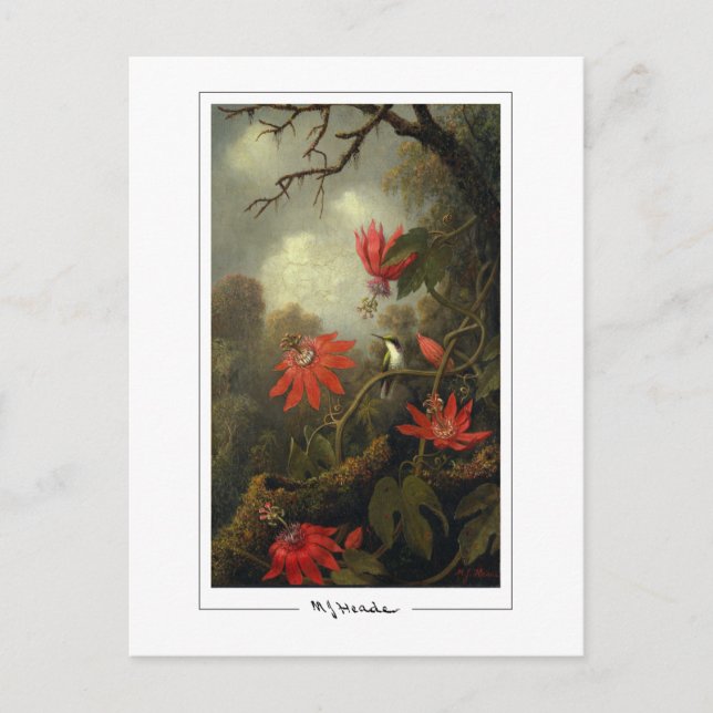 Martin Johnson Heade #36 - Tarjeta postal de arte  (Anverso)