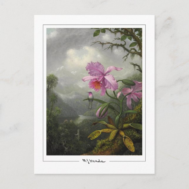 Martin Johnson Heade #4 - Tarjeta postal de arte f (Anverso)