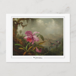 Martin Johnson Heade #51 - Tarjeta postal de arte