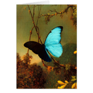 Martin Johnson Heade Blue Morpho Butterfly
