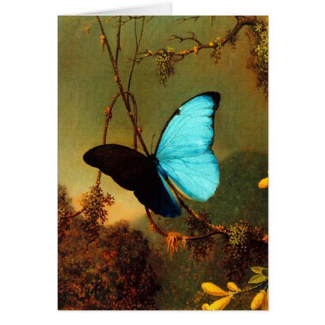 Martin Johnson Heade Blue Morpho Butterfly (Frente)
