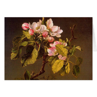 Martin Johnson Heade - flores de Apple
