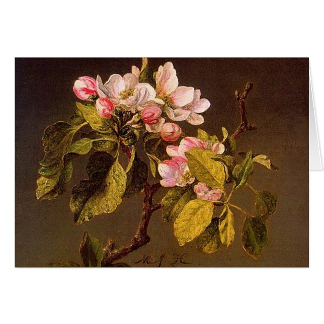 Martin Johnson Heade - flores de Apple (Anverso (Horizontal))