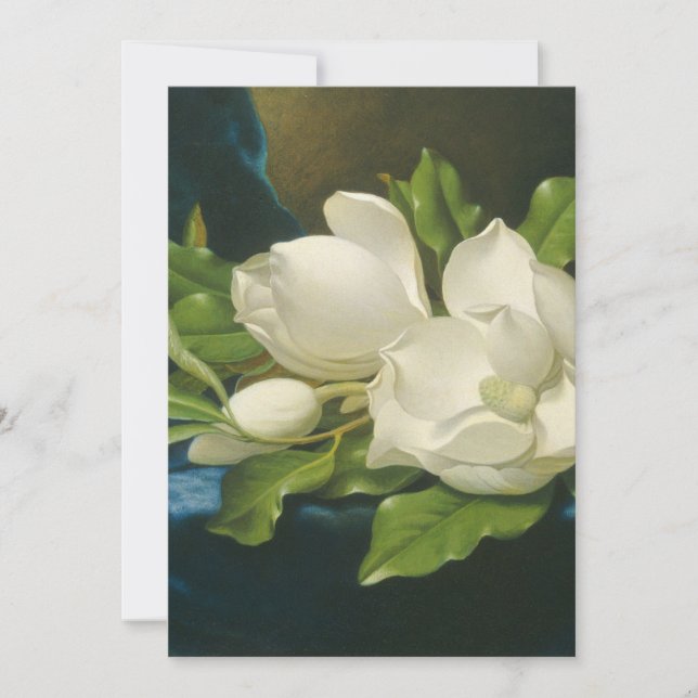 Martin Johnson Heade - Magnolias gigantes (Anverso)