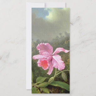 Martin Johnson Heade Orchid Y Hummingbirds