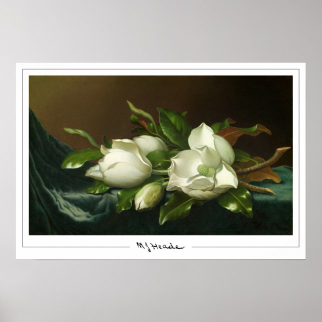 Martin Johnson Heade Zedign Poster de Arte #12 (Frente)