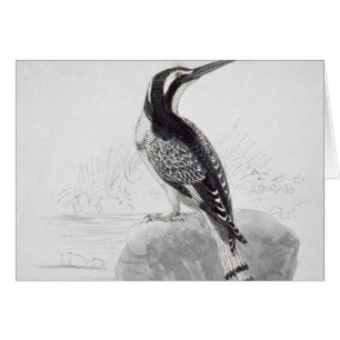 Martín pescador blanco y negro