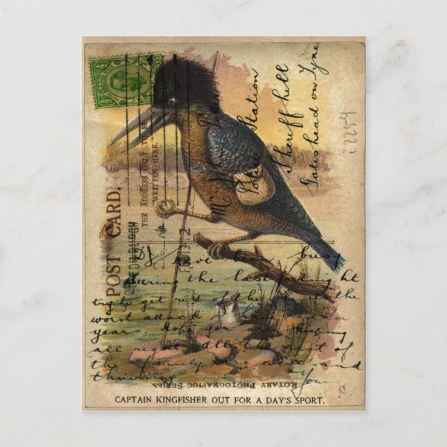 Martín pescador de la postal (Anverso)