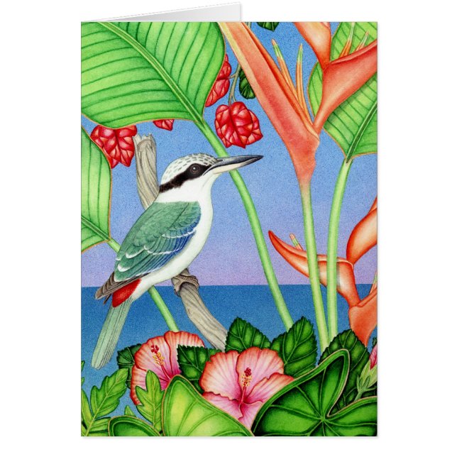 martín pescador Rojo-apoyado (Frente)