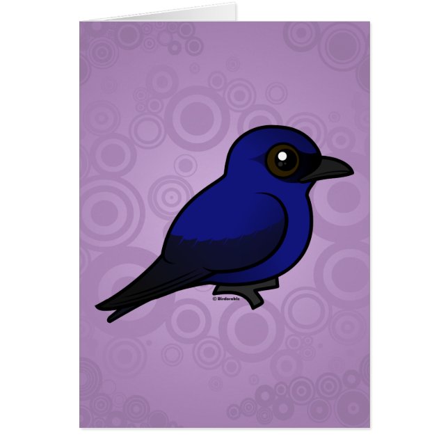 Martin púrpura (Frente)