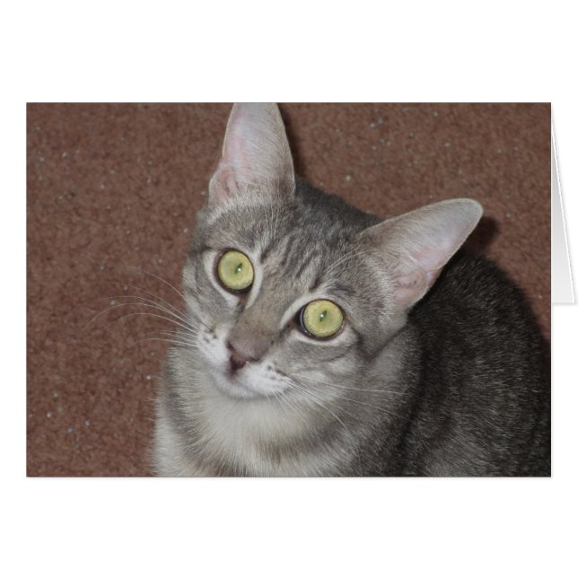 Martini (Anverso (Horizontal))