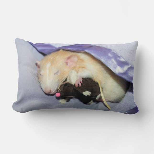 Marty durmiendo con RatTeddy 16x16 almohada (Anverso)