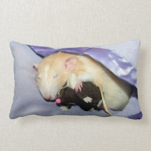 Marty durmiendo con RatTeddy 16x16 almohada
