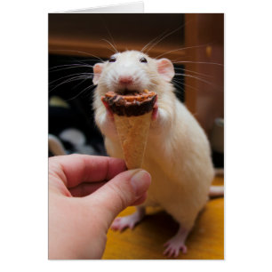 Marty Eando Helado