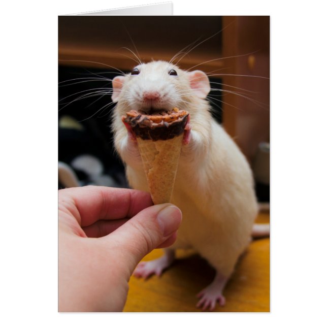 Marty Eando Helado (Frente)