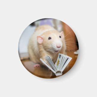 Marty Mouse ama leer imán