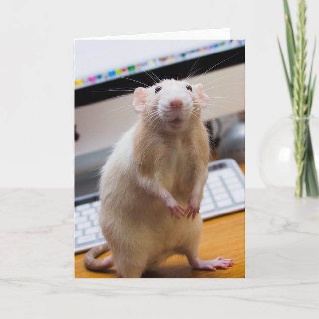 Marty Mouse levantando tarjeta de saludo (Anverso)