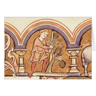 Marzo: Injerto de árboles