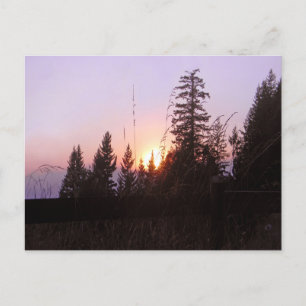 Más allá de los árboles....Tarjeta Postal