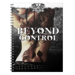 Más allá del cuaderno del control