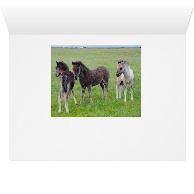 Más caballos a montones (horizontal) (Adentro Horizontal (Parte inferior))