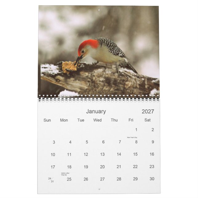 Más pájaros en su calendario 2013 del patio (Jan 2027)