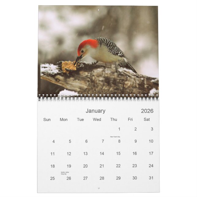 Más pájaros en su calendario 2013 del patio (Jan 2026)