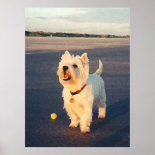 ¡Más por favor! Póster de Westie con pelota