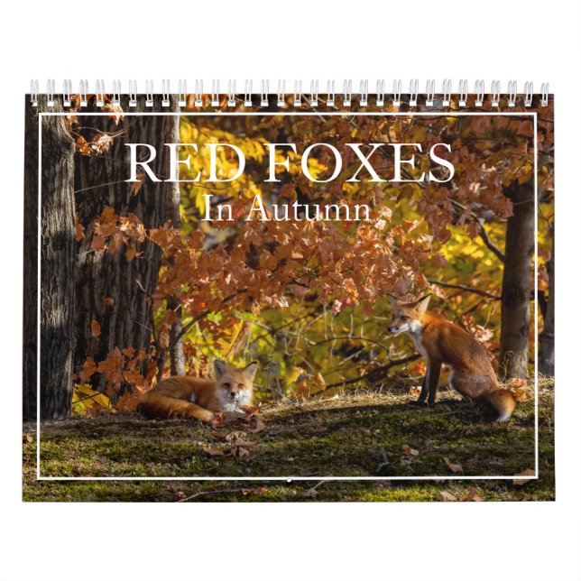 Más zorros rojos en el calendario otoñal (Tapa)