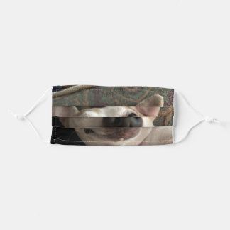 Mascarilla De Tela Máscara de perro