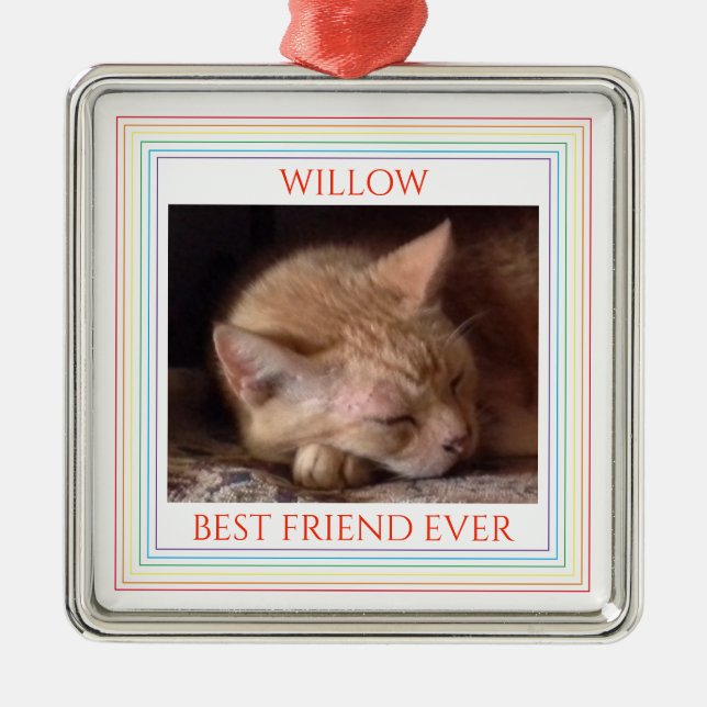 MASCOTA AMAR Ornamento cuadrado premium + texto /  (Frente)