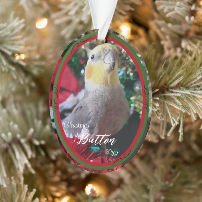 Mascota Ave Araílico Ornamento Ave personalizable (Árbol)