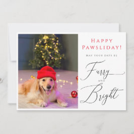 Mascota brillante y brillante 3 Foto tarjeta de va