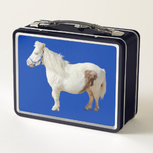 Mascota de animales de caballo en miniatura