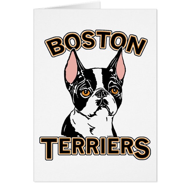 Mascota de Boston Terriers (Frente)