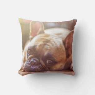 Mascota de Bulldog francés Cojín decorativo de per