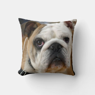 Mascota de Bulldog inglés Cojín decorativo de perr