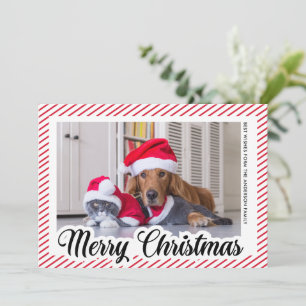 Mascota de caligrafía roja moderna foto navidad