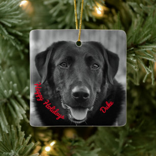Mascota de fotografía de Labrador negro ornamento