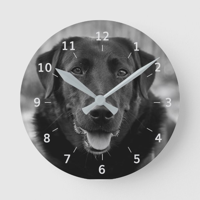 Mascota de fotografía de Labrador negro reloj de p (Anverso)