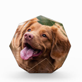 Mascota de fotografía personalizado Bloque de foto