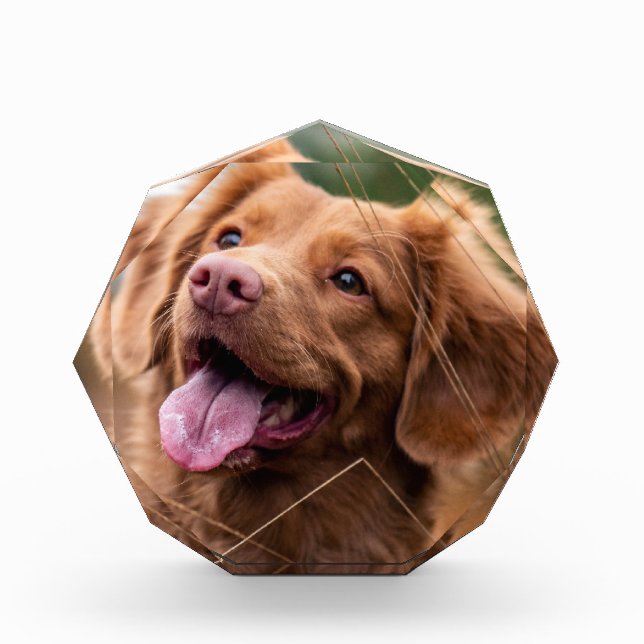 Mascota de fotografía personalizado Bloque de foto (Anverso)