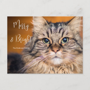 Mascota de fotografía personalizado con tarjeta de