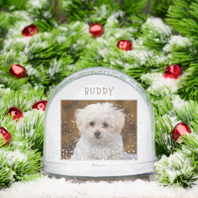 Mascota de Perro Cute 2 fotos Navidades del patrón (Navidad)