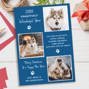 Mascota de perro personalizado foto año en Navidad