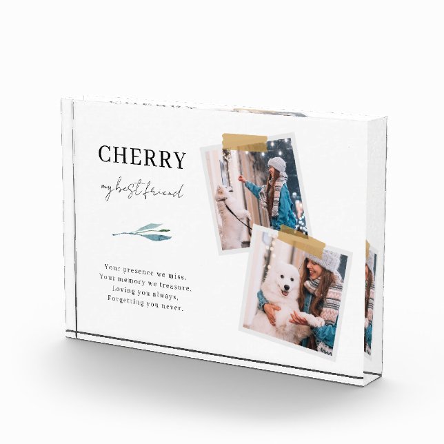 Mascota en memoria de perros Pérdida 2 Bloque foto (Derecha)