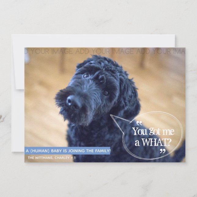 Mascota gracioso (Bebé Humano) Invitación de embar (Anverso)