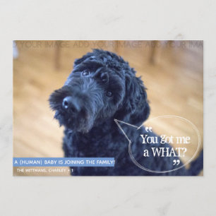 Mascota gracioso (Bebé Humano) Invitación de embar