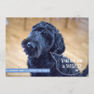 Mascota gracioso (Bebé Humano) Invitación de embar