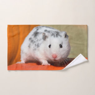 Mascota gracioso blanco negro martillo sirio